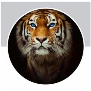 Meet your Posher, Ravikesh